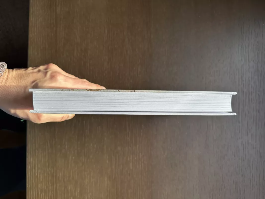 Pažadink savyje dailininką. Kūrybiškumo ir pasitikėjimo savimi ugdymosi kursas - Betty Edwards, knyga 3