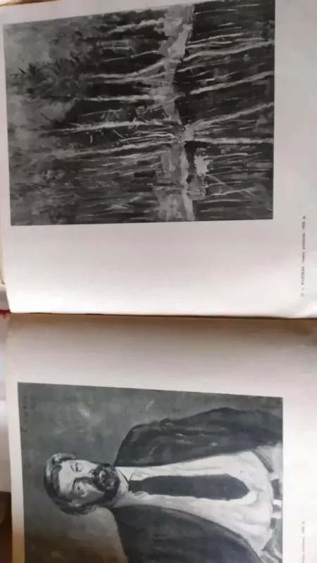 Lietuvių tarybinė dailė. Tapyba 1940-1960 - P.Gudynas, knyga 6