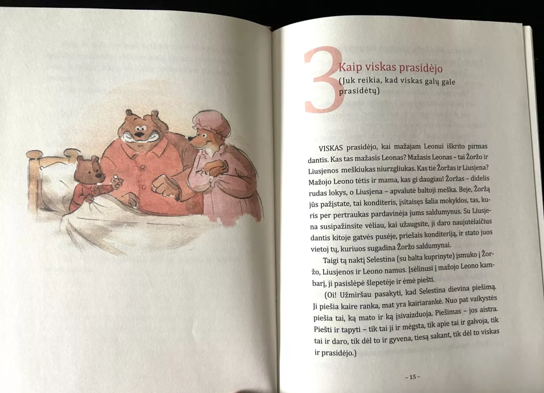 ROMANAS APIE ERNESTĄ IR SELESTINĄ - Daniel Pennac, knyga 4