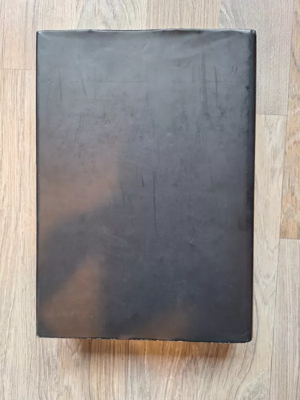 Baltų menas / Art of the Balts - Adomas Butrimas, knyga 4