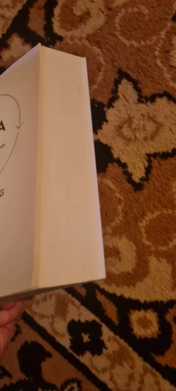 Įpročio galia - Duhigg Charles, knyga 4