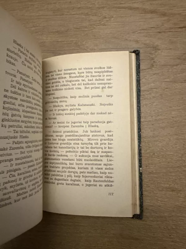 1794 metai: paskutinysis respublikos seimas (I dalis) - W. S. Reymont, knyga 6