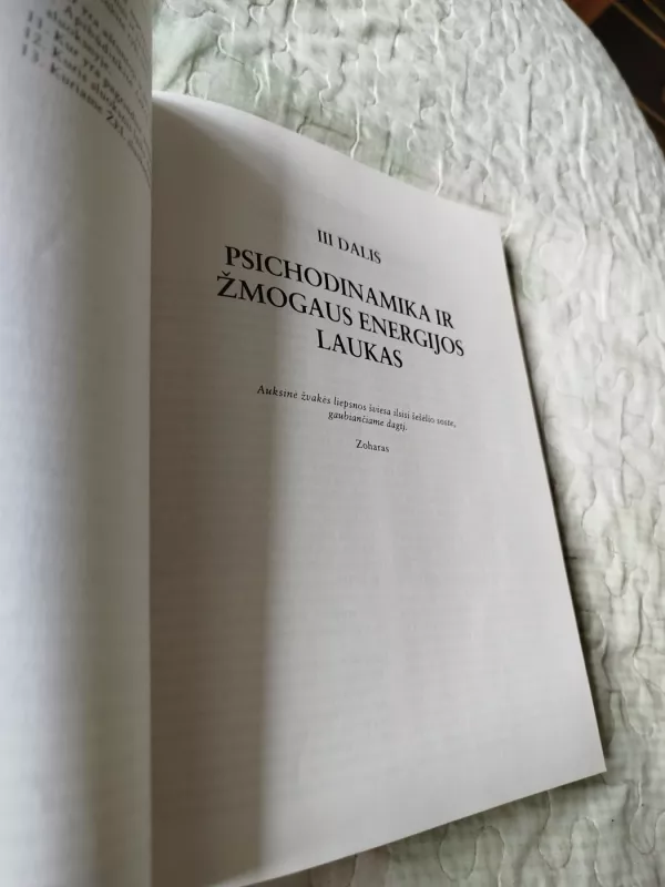 Šviesos rankos - Barbara Ann Brennan, knyga 4