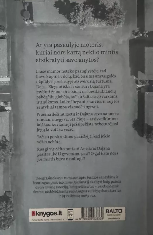 Anyta - Sally Hepworth, knyga 2