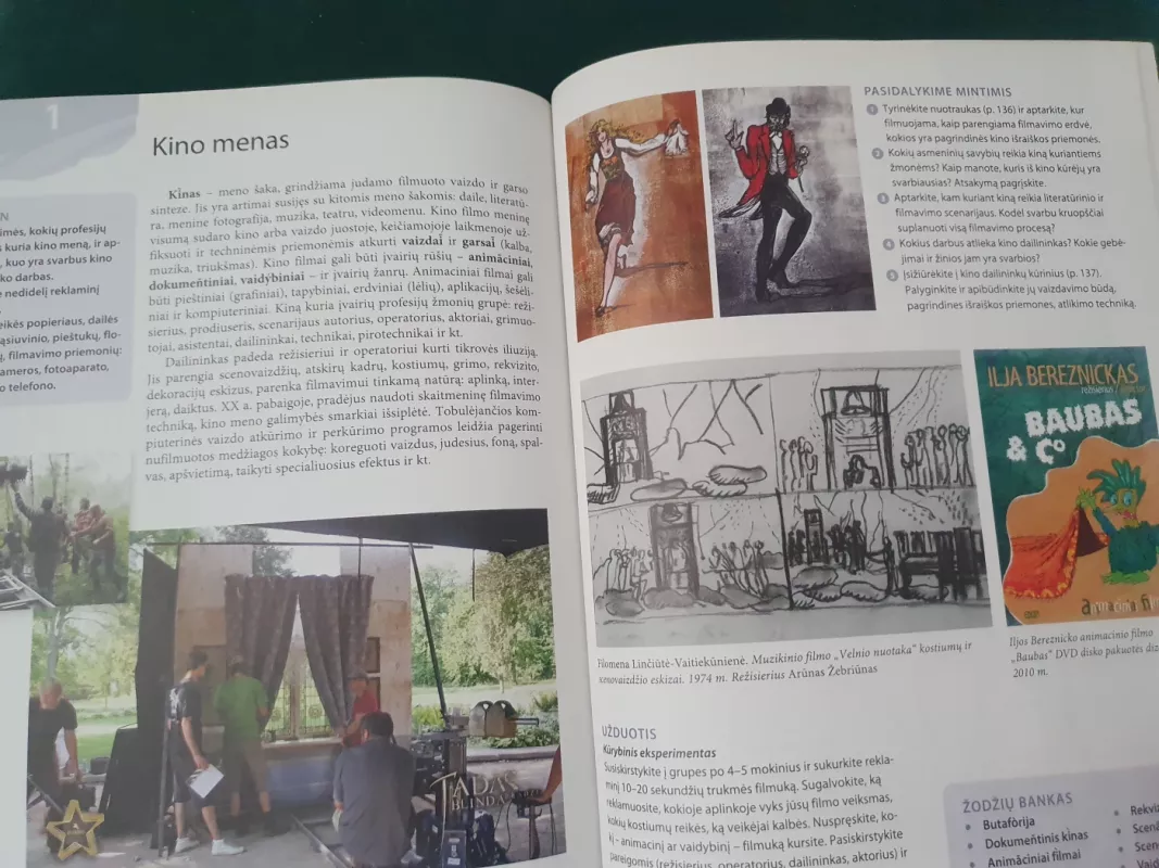 Dailė. Vadovėlis XI-X klasei - Irena Staknienė, Rima Tuinylaitė, Irena Staknienė, Rima Tuinylaitė, Romualda Zareckienė, knyga 5