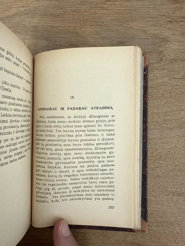 Dovydas Copperfieldas ( II tomas) - Charles Dickens, knyga 5