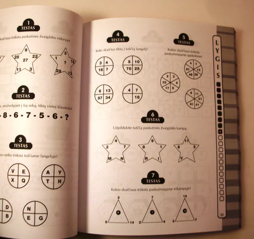 IQ testai - Joe Cameron, knyga 6