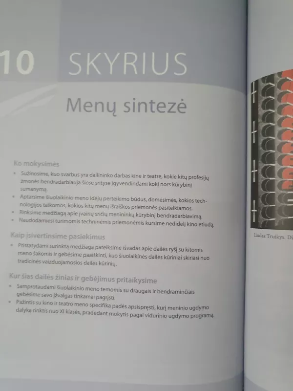 Dailė. Vadovėlis XI-X klasei - Irena Staknienė, Rima Tuinylaitė, Irena Staknienė, Rima Tuinylaitė, Romualda Zareckienė, knyga 4