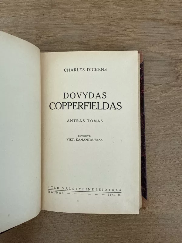Dovydas Copperfieldas ( II tomas) - Charles Dickens, knyga 2