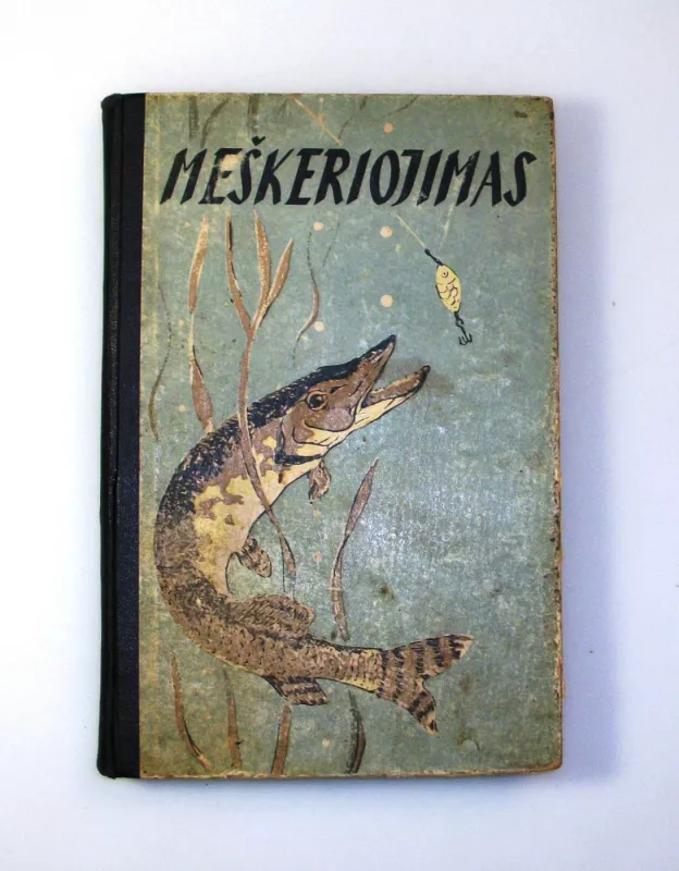 Meškeriojimas - A. Kasulaitis, knyga 2