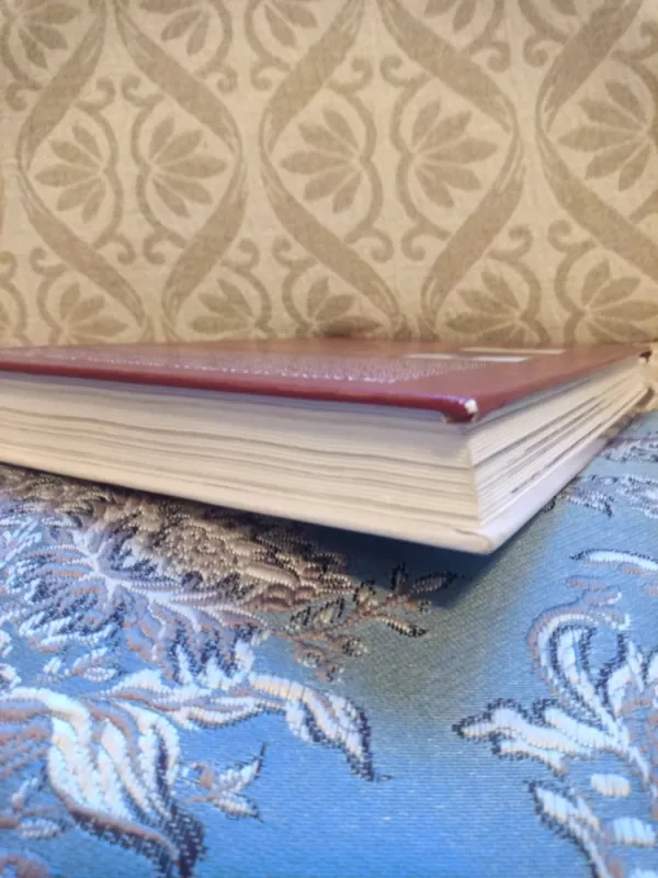 Drakono alsavimas: Honkongas. Kinija. Tibetas - Raimondas Dikčius, knyga 4