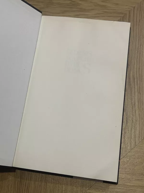 Didysis mafijų pabudimas - Raufer Xavier, knyga 3