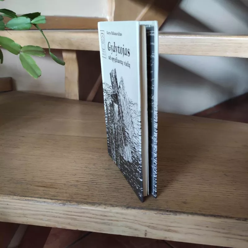 Gydytojas už spygliuotų vielų - Kazys Paltanavičius, knyga 5