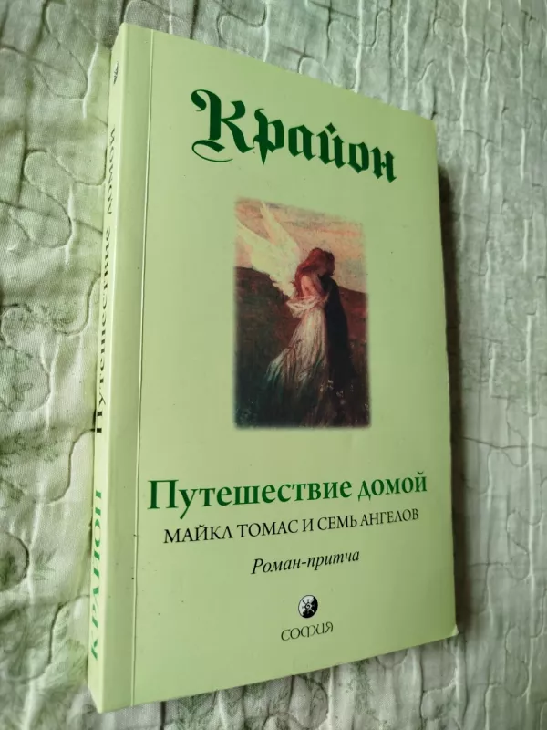 Kelionė namo - Li Kerrol, knyga 2