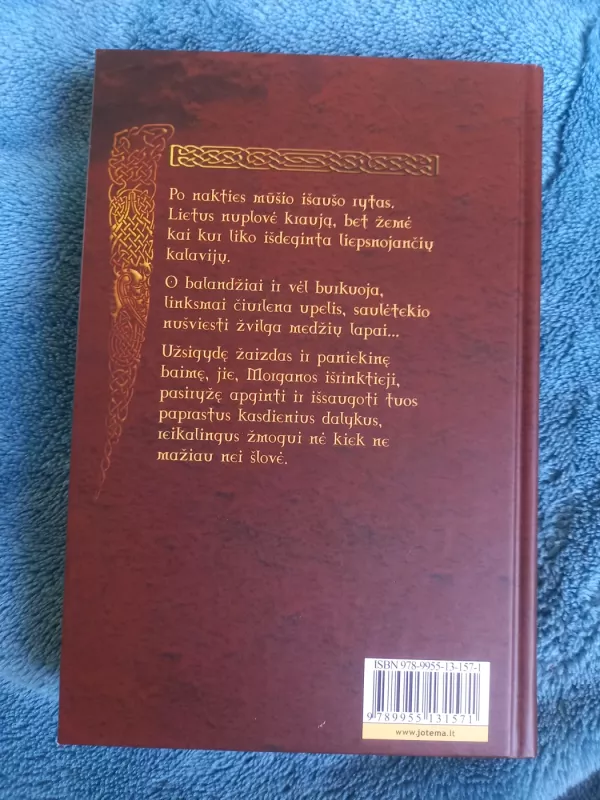 Morganos kryžius, Dievų vartai, Tylos slėnis - Nora Roberts, knyga 6