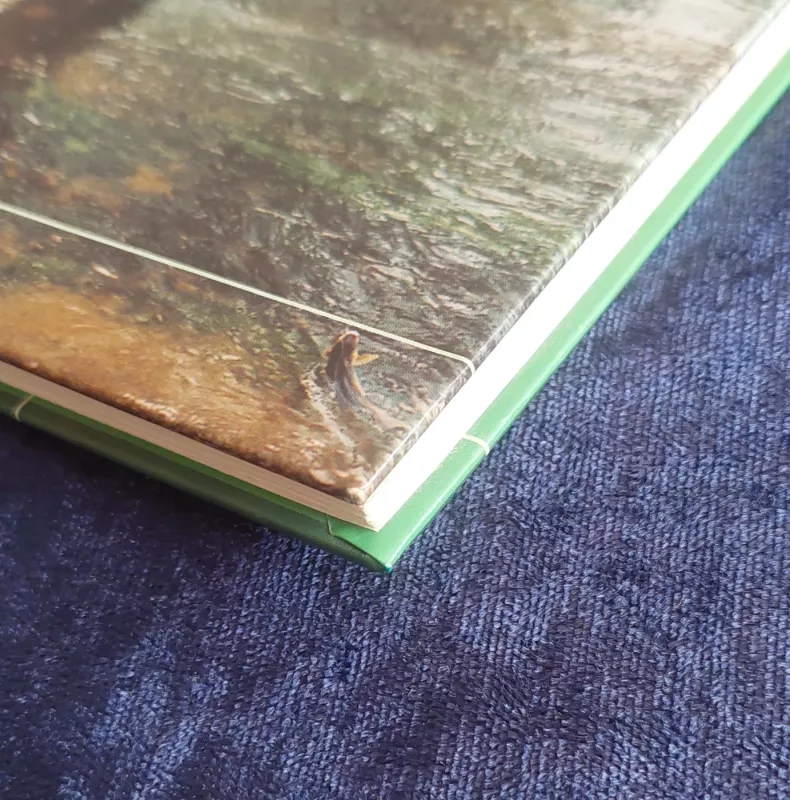 Žūklės paslaptis - Viktoras Armalis, knyga 4