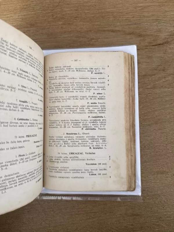 Vadovas Lietuvos augalams pažinti - J. Dagys, J.  Kuprevičius,A.  Minkevičius, knyga 6