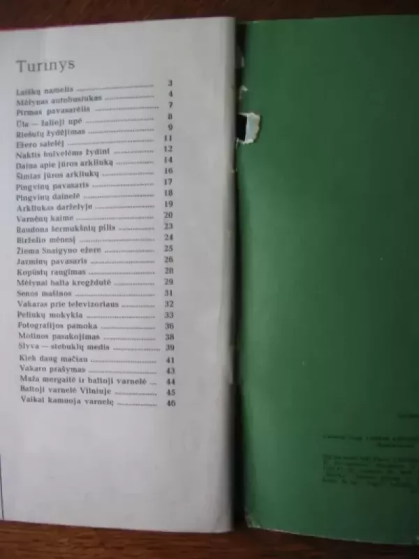 Mėlynas autobusiukas - Sigitas Geda, knyga 5