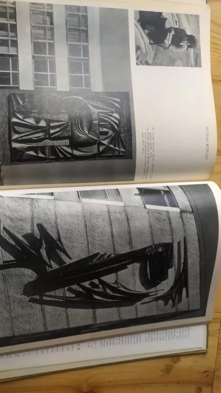 Skulptūra - Vladas Vildžiūnas, knyga 3