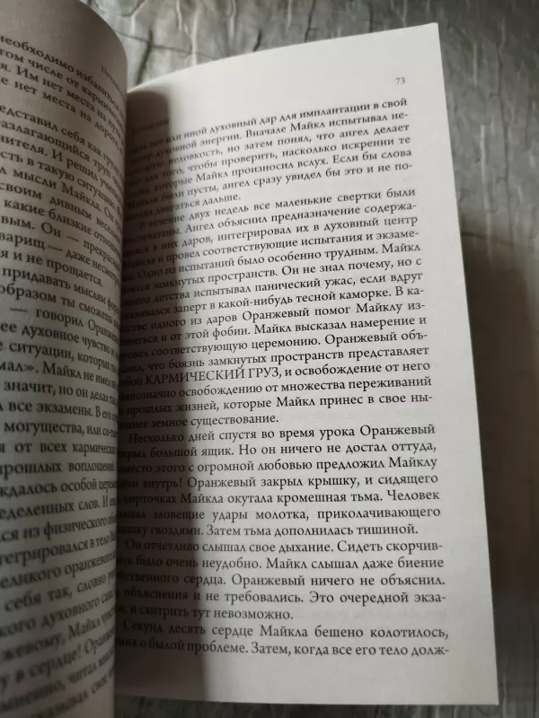 Kelionė namo - Li Kerrol, knyga 4