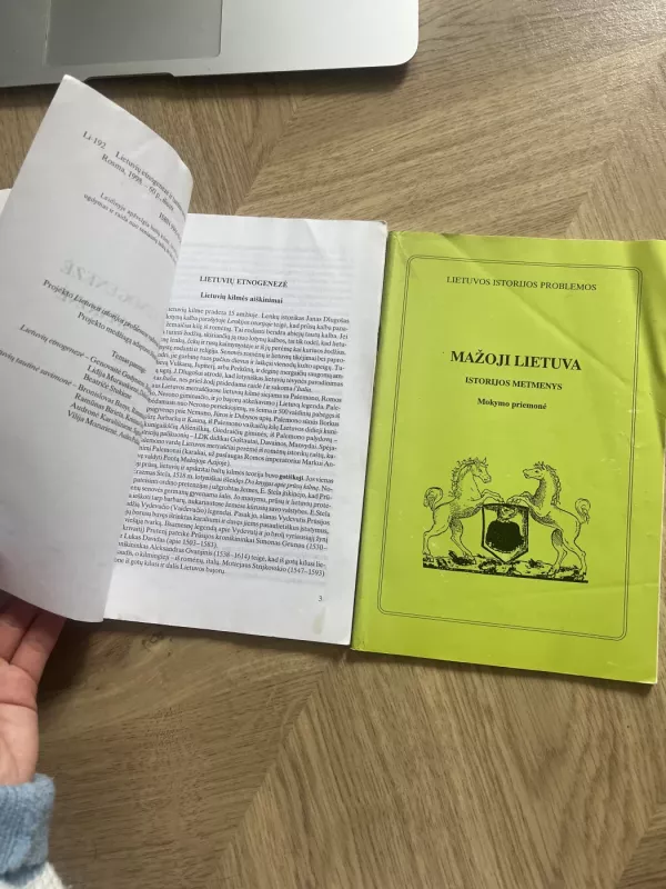 Lietuvių etnogenezė ir tautinė savimonė - Autorių Kolektyvas, knyga 6