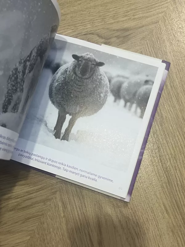 Apie devyndarbius - Bradley Trevor Greive, knyga 5