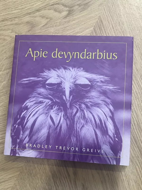 Apie devyndarbius - Bradley Trevor Greive, knyga 2