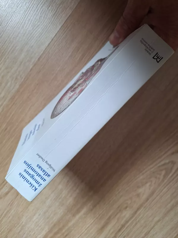 Kišeninis žmogaus anatomijos atlasas - Dauber Wolfgang, knyga 3