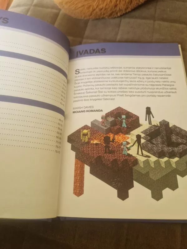 Menecraft. Kaip išgyventi požemių ir pabaigos pasauliuose - Stephanie Milton, knyga 2