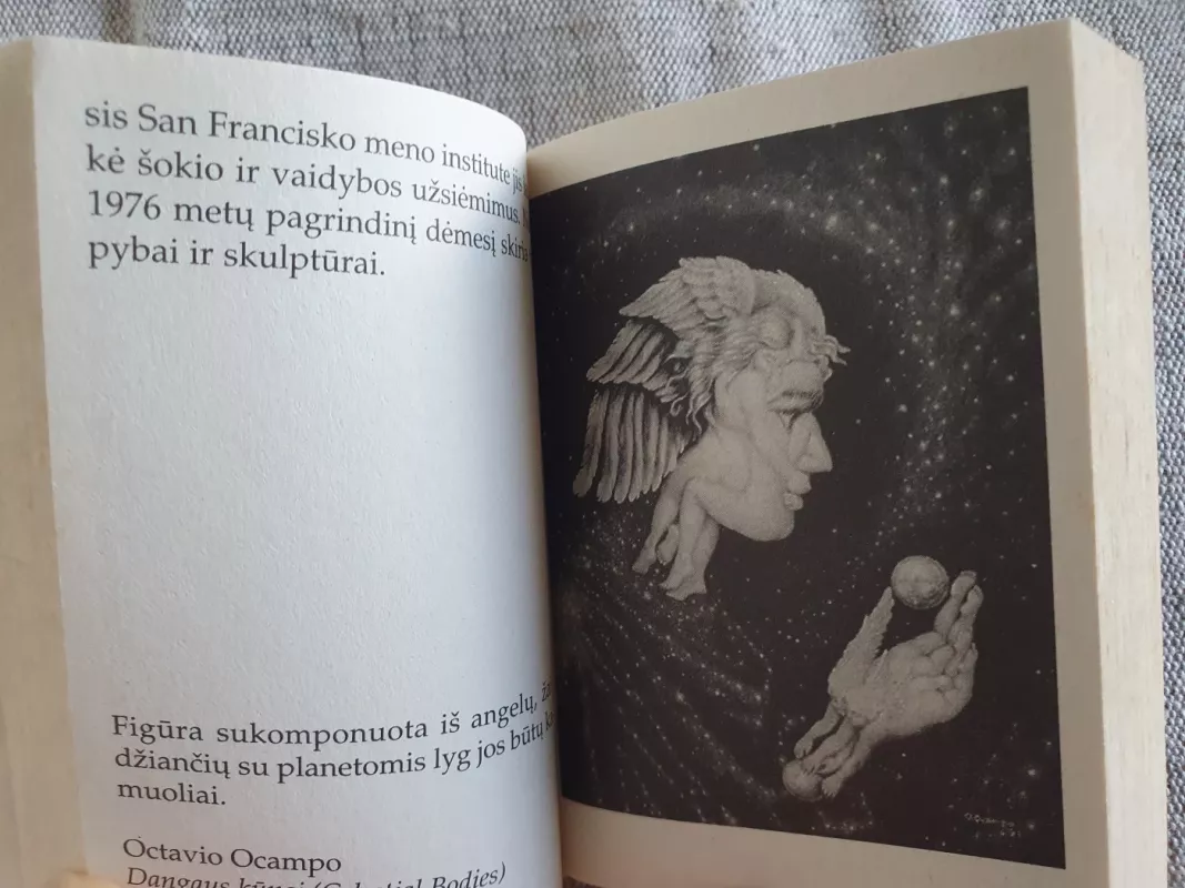 Iliuzijos menas. 2 dalis - Rimantas Mikalauskas, knyga 4