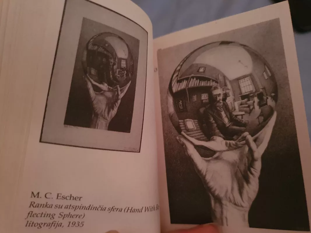 Iliuzijos menas. 1 dalis - Rimantas Mikalauskas, knyga 5