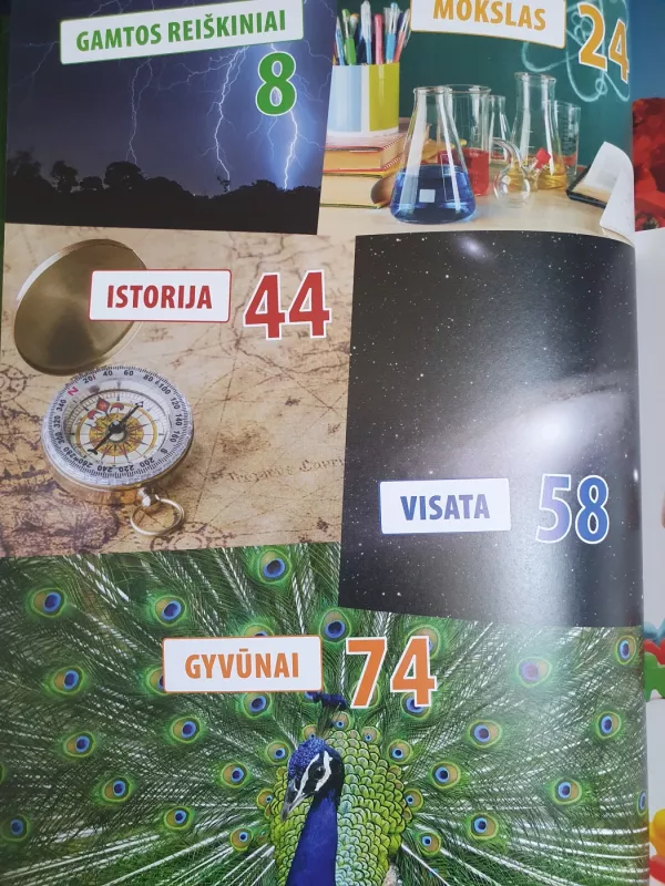 500 klausimų ir atsakymų. Enciklopedija vaikams. - Autorių Kolektyvas, knyga 2