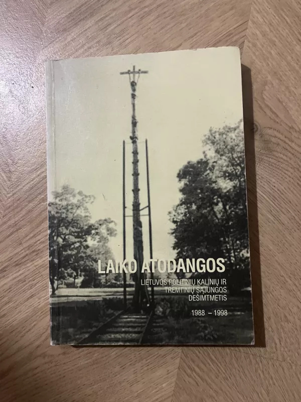 Laiko atodangos - Virginija Skučaitė, knyga 2