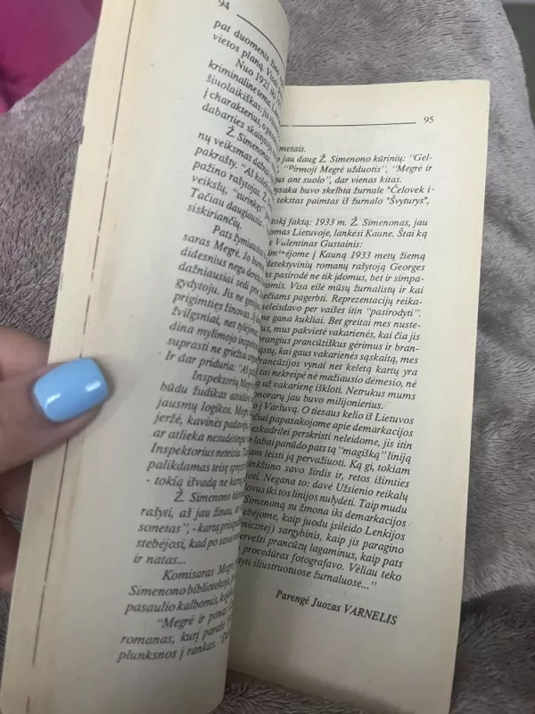 Komisaras Megrė ir pamišėlė - Žoržas Simenonas, knyga 3