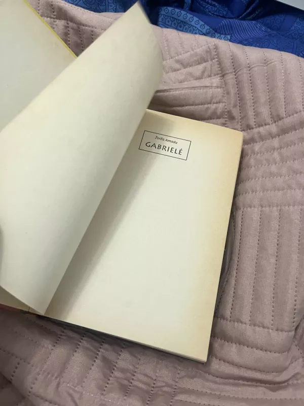 Gabrielė - Žoržis Amadus, knyga 5