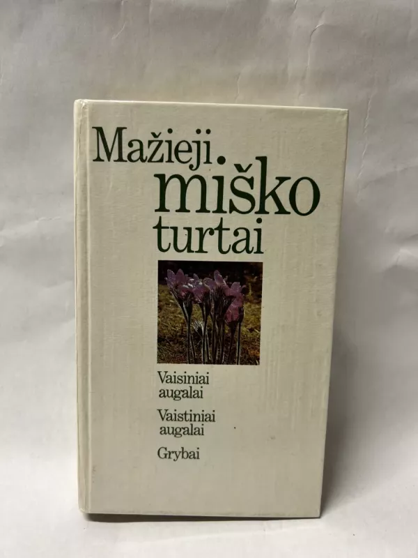 Mažieji miško turtai - V. Butkus, ir kiti , knyga 2