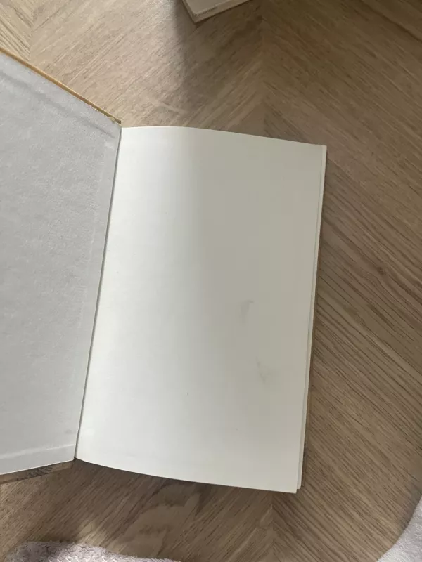 Gęstanti saulė - Teodoras Jaske-Choinskis, knyga 4