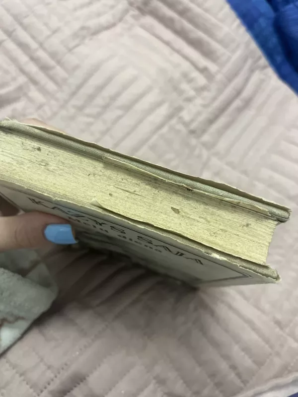 Melų diena - Kazys Saja, knyga 3