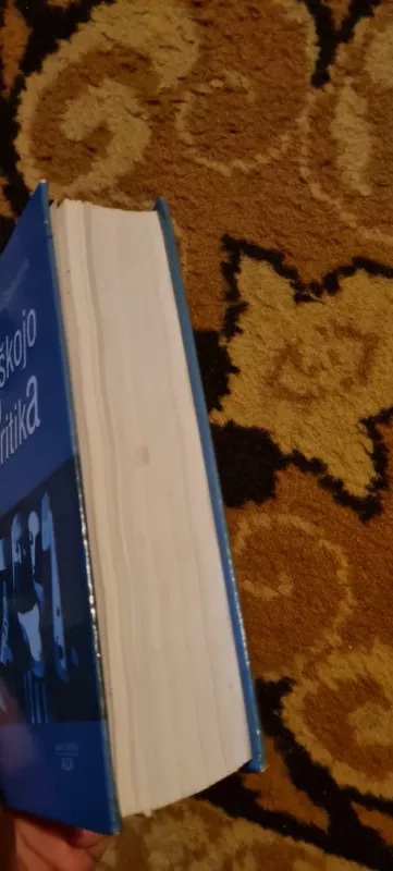 Ciniškojo proto kritika - Peter Sloterdijk, knyga 4