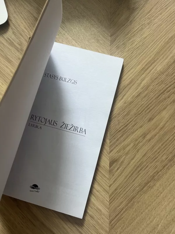 Rytojaus Žiežirba - Stasys Bulzgis, knyga 4