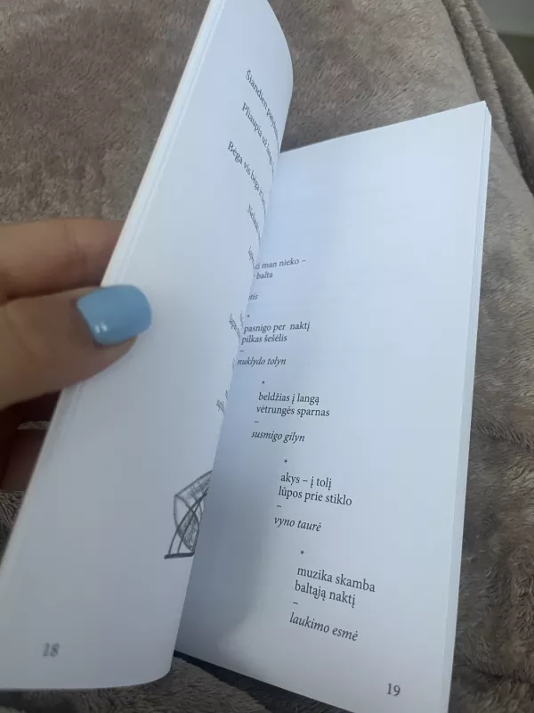 Esmė. Poezija. Esė - Viktoras Žilinskas, knyga 4