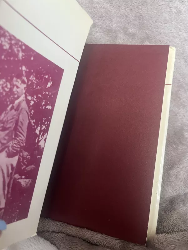 Į mėlynus tolius - Balys Sruoga, knyga 3