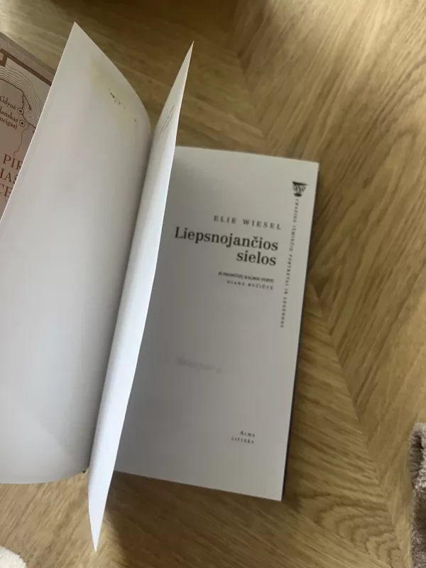 Liepsnojančios sielos. Chasidų išminčių portretai ir legendos - Elie Wiesel, knyga 5