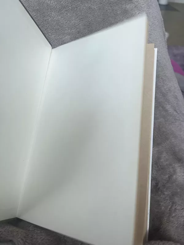 Provincijos romanas - Joanna Trollope, knyga 3