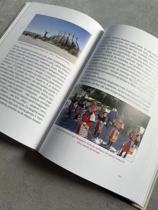 Į Bankoką per 40 dienų - Saulius Paukštys, knyga 4