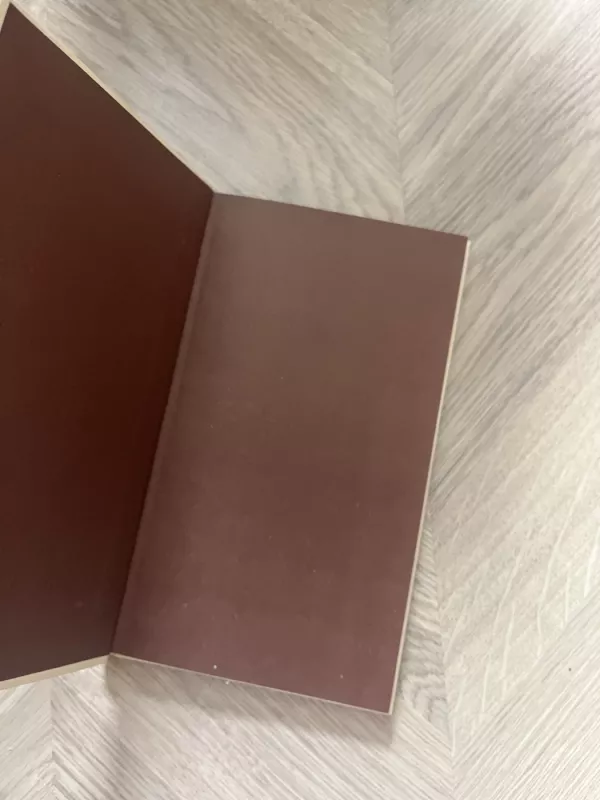 Branginti zylę kaip sakalą - Vincas Giedra, knyga 3