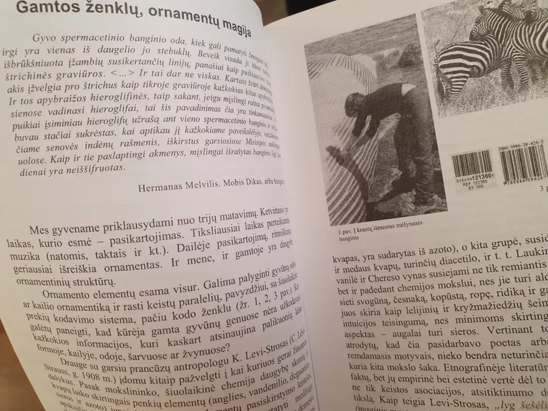 Ritmas gamtoje ir mene - Arūnas Uogintas, knyga 3