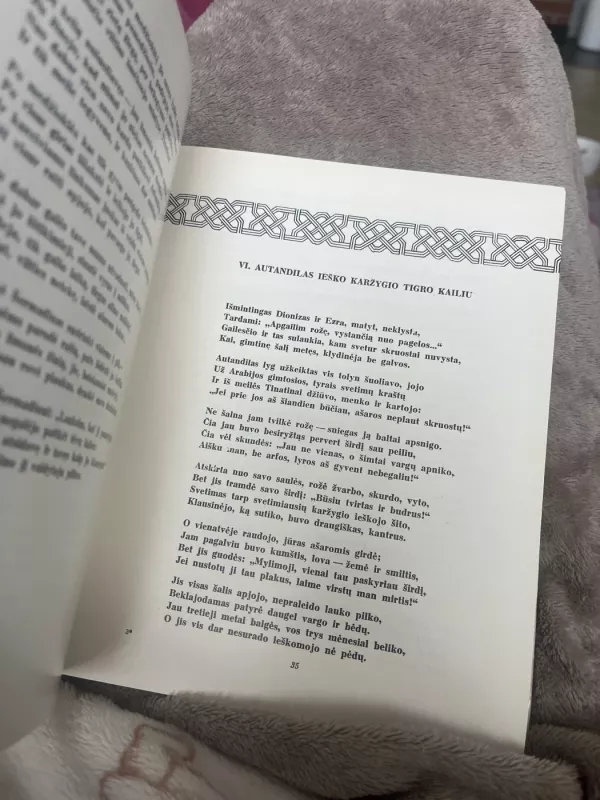 Karžygys tigro kailiu - Šota Rustavelis, knyga 4