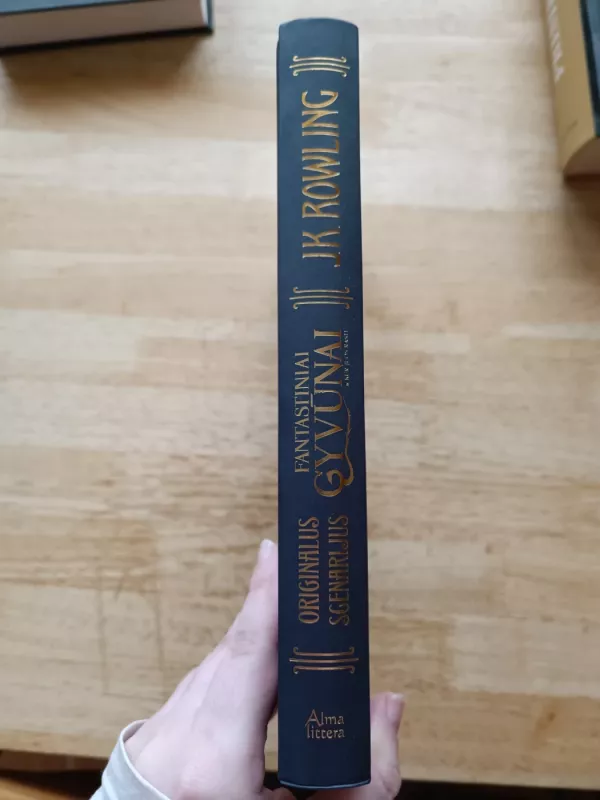 Fantastiniai gyvūnai ir kur juos rasti: originalus scenarijus - Rowling J. K., knyga 3