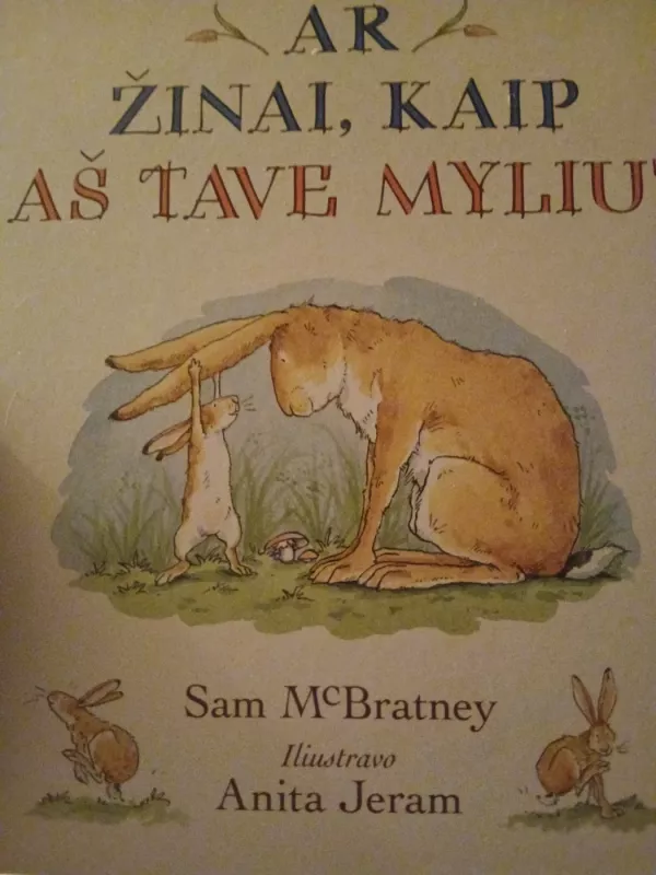Ar žinai kaip aš tave myliu - Sam McBratney, knyga 2